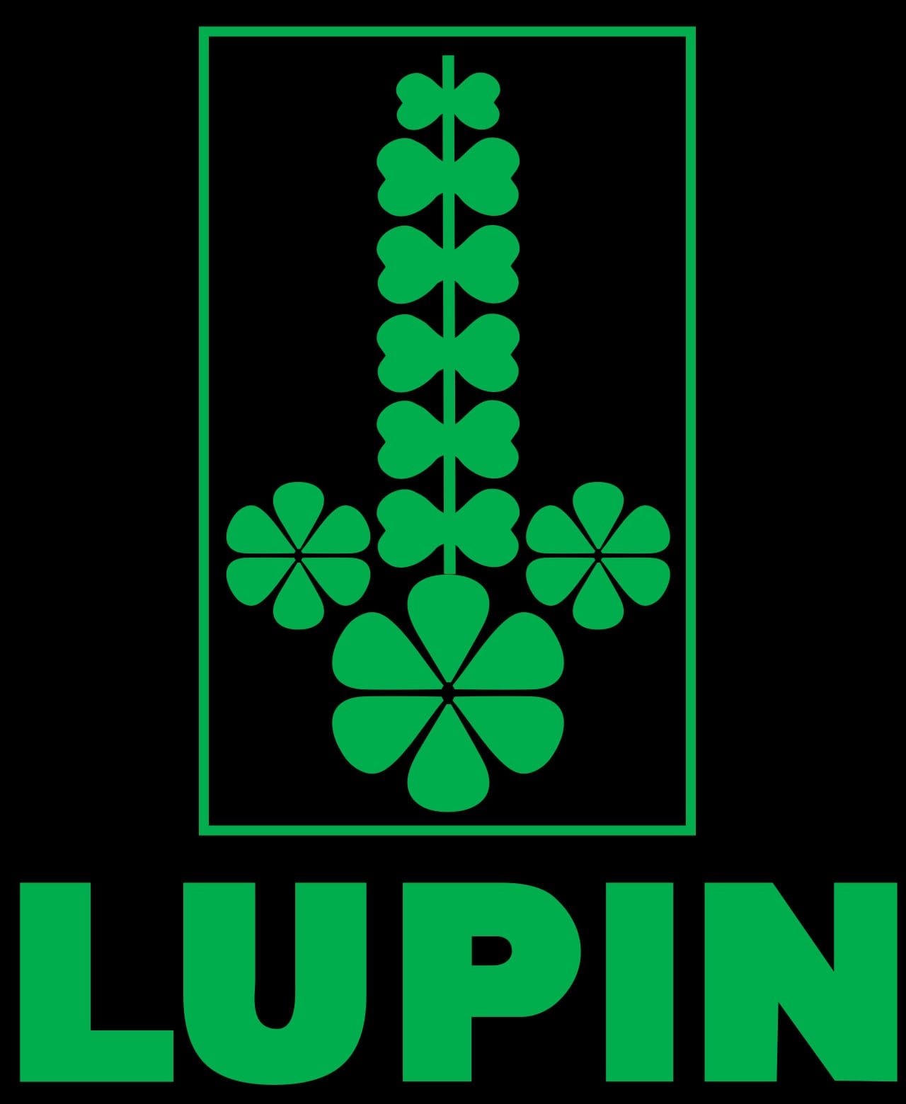 Lupin_img