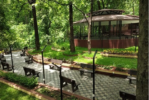 Ambapani-Ecosite-tapi